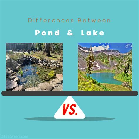 difference between lake and pond reddit.